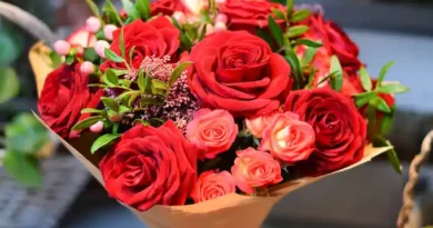 16 Medicinal Health Benefits of Rose (Rosa)