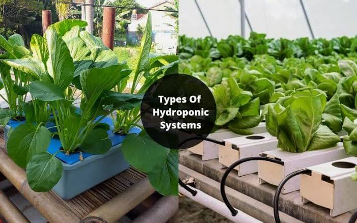Hydroponic Farming Systems Types and Benefits of Hydroponic Farming Systems