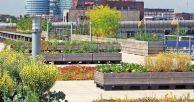 Urban Farming and Rooftop Gardening Guide