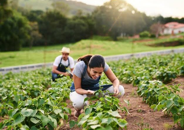 how-to-start-a-small-scale-farm-on-limited-land-agric4profits