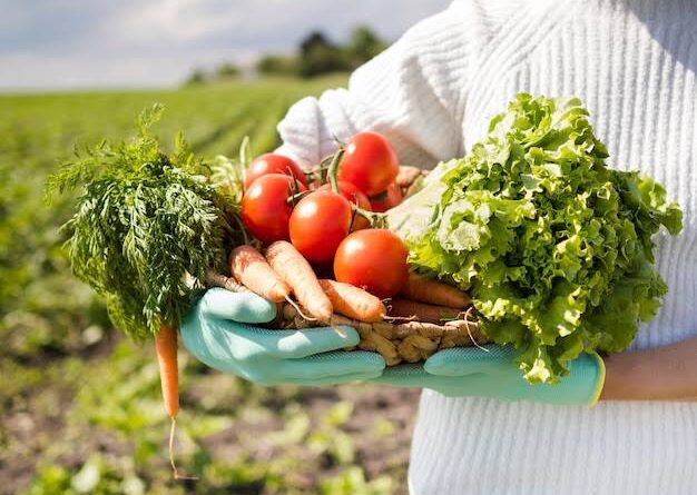 How to Start a Profitable Vegetable Farm