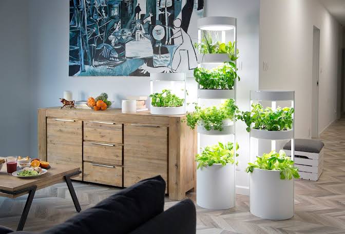 How to Set up a Successful Hydroponic System at Home