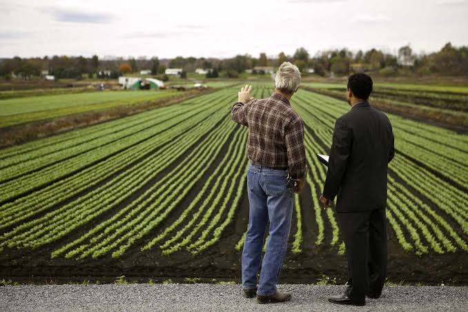 How to Create a Business Plan for a Farm