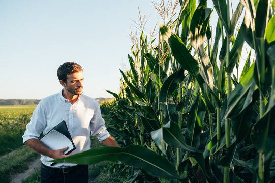 How to Create a Business Plan for a Farm How to Create a Business Plan for a Farm