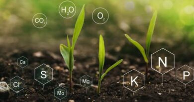 How to Optimize Nutrient Management in Crop Production