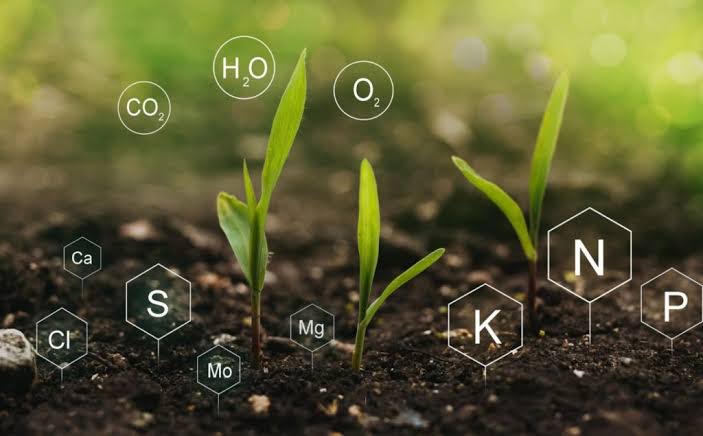 How to Optimize Nutrient Management in Crop Production