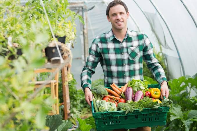 How to Market Your Crops How to Market Your Crops