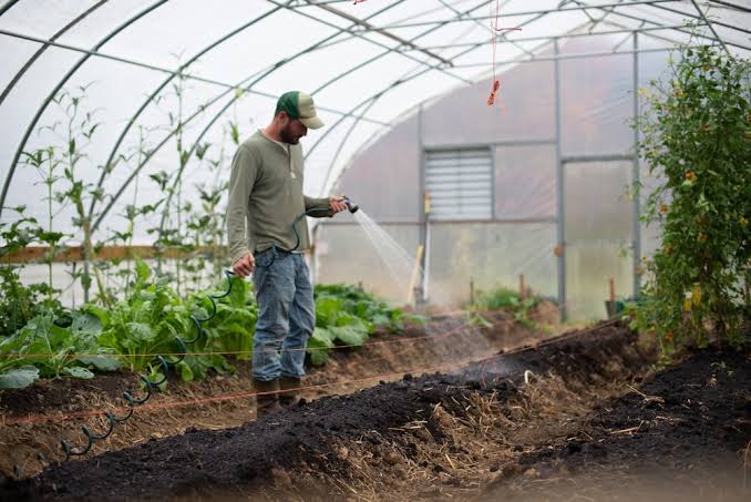 Guide on How to Start a Small Farm