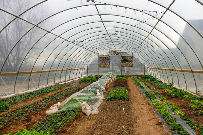 How to Protect Farm Crops From the Weather