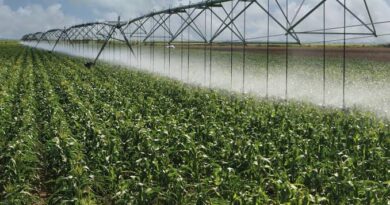 How to Protect Farm Crops From the Weather