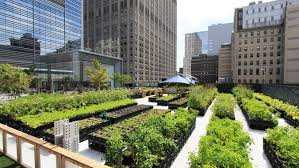 How to Get Involved in Urban Agriculture