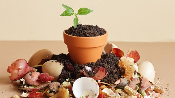How to Make your Own Fertilizer