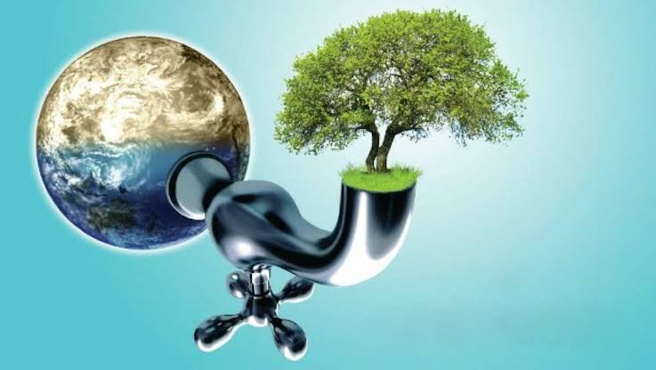 How to Use Water Conservation Techniques