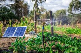 How to Use Renewable Energy on your Farm