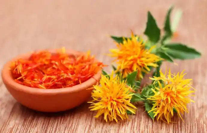 17 Medicinal Health Benefits Of Safflower (Carthamus tinctorius)