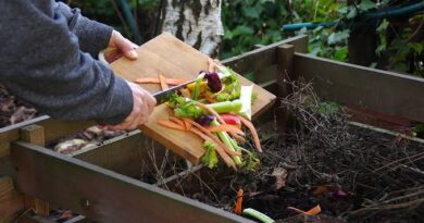 How to Compost: Composting Techniques and Benefits