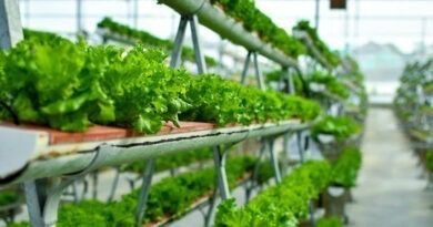Vertical Farming and Urban Agriculture