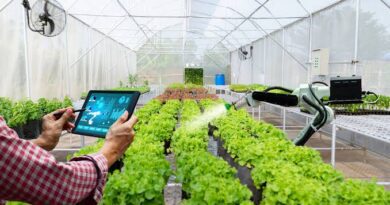 Precision Agriculture and Smart Farming