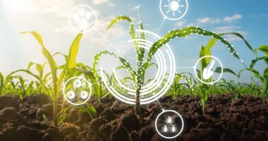 Best Practices for Sustainable Agriculture