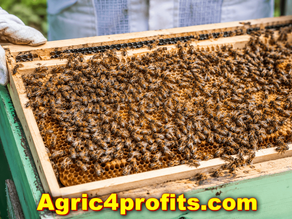 Faits Sur Les Abeilles