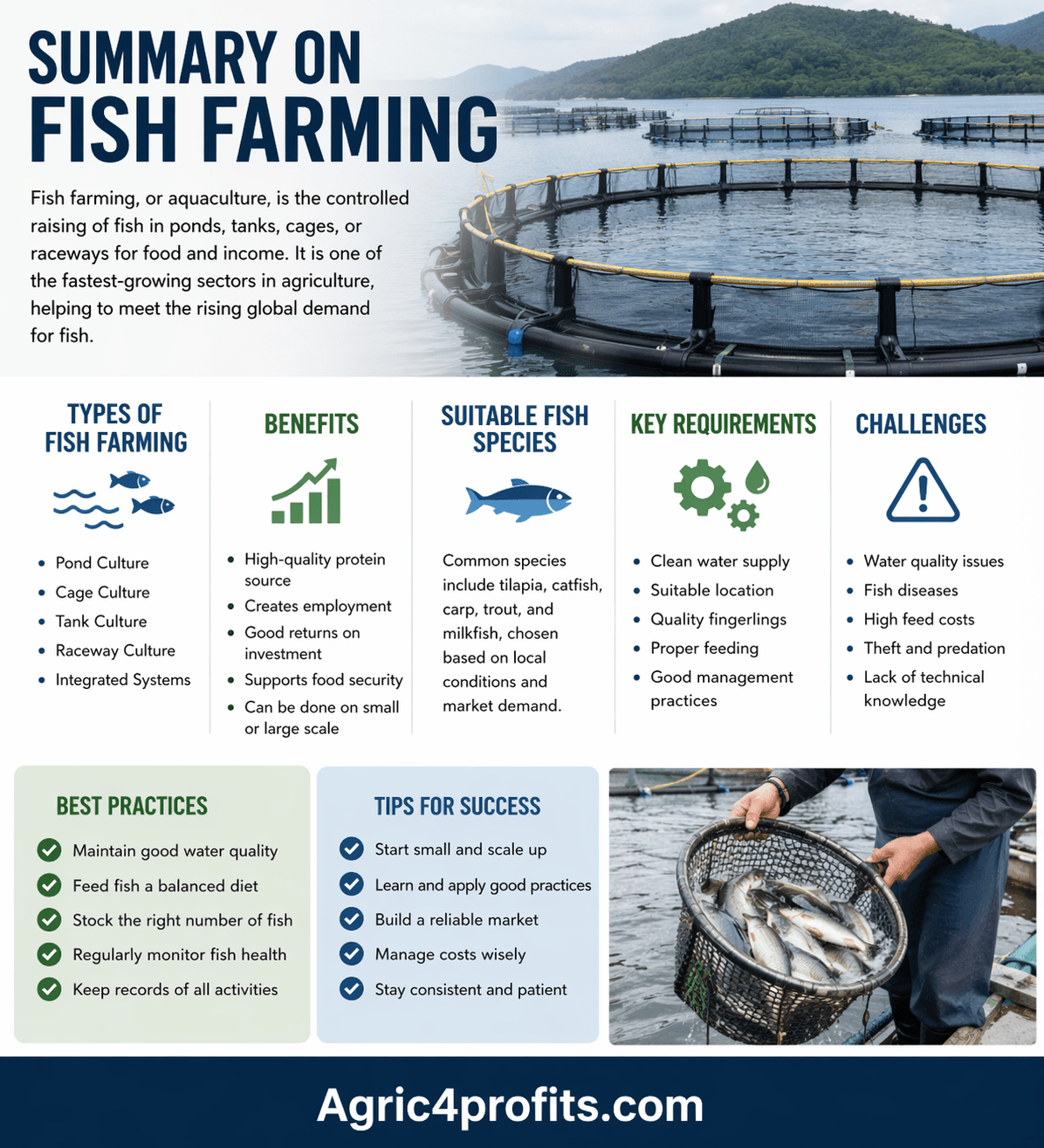 The Techniques Used in Fish Farming - Agric4Profits