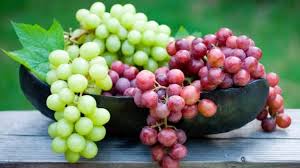 How to Grow and Care for Grapes