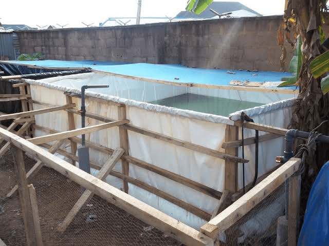 Benefits of Constructing a Fish Pond with Tarpaulin and Woods
