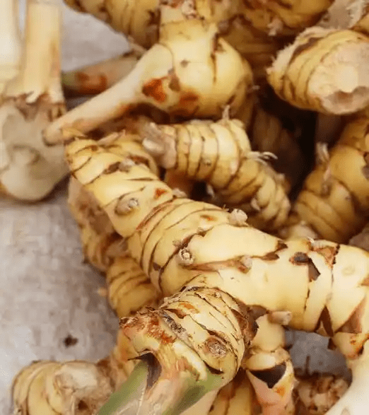 15 Medicinal Health Benefits Of Galangal (Alpinia galanga)