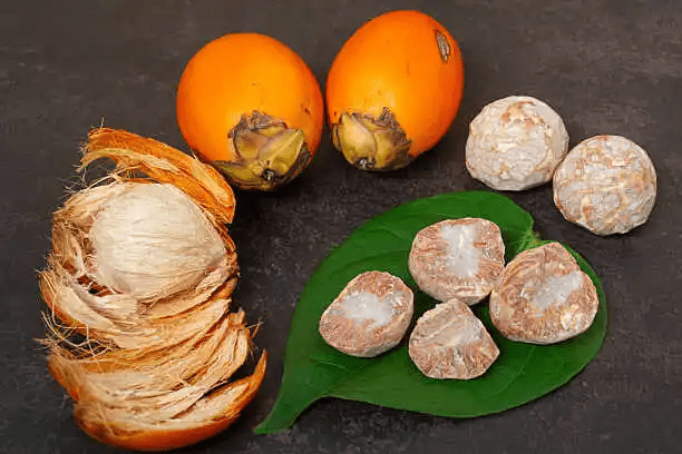 15 Medicinal Health Benefits Of Betel Nuts (Areca catechu)