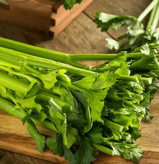 15 Medicinal Health Benefits Of Celery (Apium graveolens)