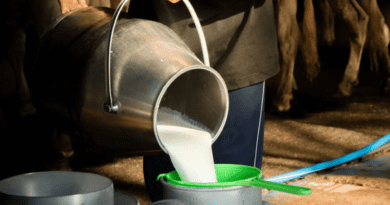 Milk Processing and Storage Methods