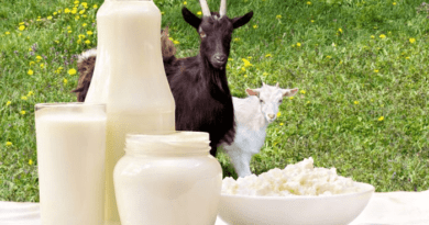 Guide to Milk Production, Composition, and Nutritional Value of Milk