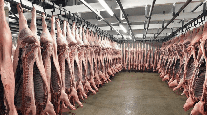Swine Processing and Marketing