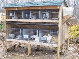 Rabbit Hutch Equipment and Requirements