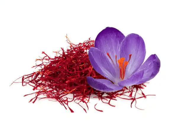 17 Medicinal Health Benefits Of Saffron (Crocus sativus)