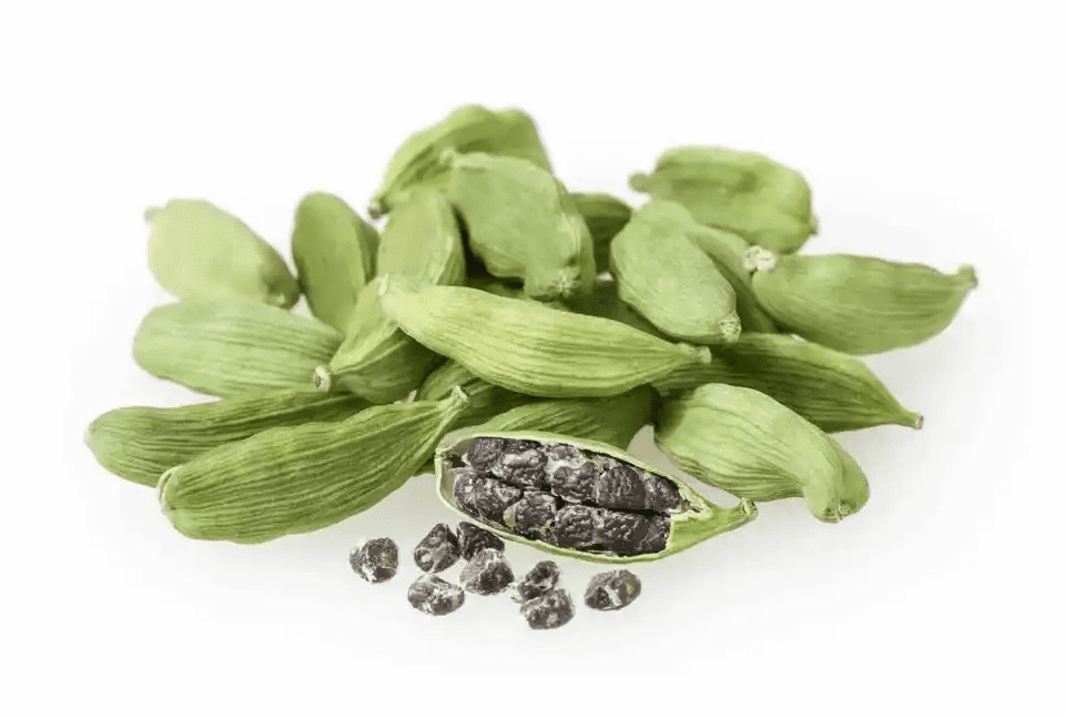 15 Medicinal Health Benefits Of Cardamom (Elettaria cardamomum) 15 Medicinal Health Benefits Of Cardamom (Elettaria cardamomum)