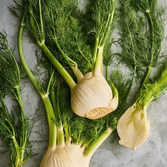 16 Medicinal Health Benefits Of Fennel (Foeniculum vulgare)