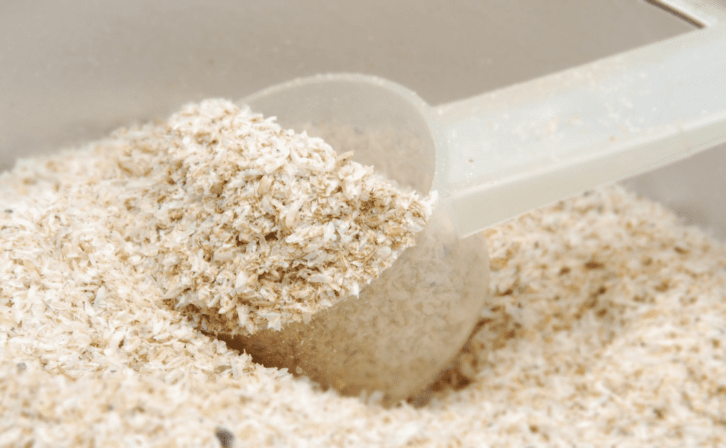 6 Health Benefits of Psyllium Husk (Plantago ovate)