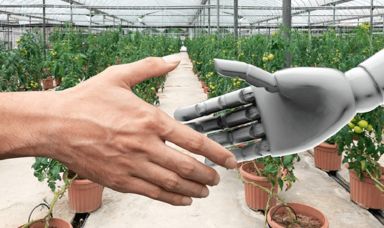 The Top Global Trends Driving the Fourth Agricultural Revolution