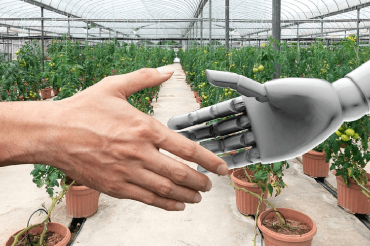 The Top Global Trends Driving the Fourth Agricultural Revolution