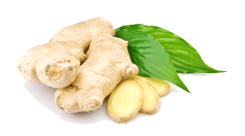 9 Health Benefits of Ginger Roots (Zingiber officinale)