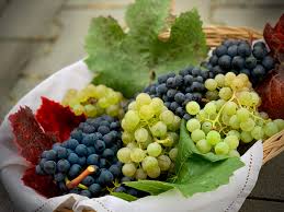 How to Grow and Care for Grapes