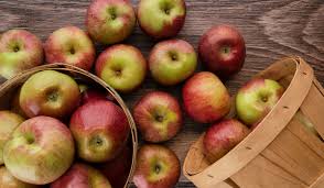 Types, Importance and Uses of Apples