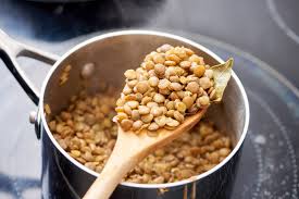 The Economic Importance and Uses of Lentils The Economic Importance and Uses of Lentils