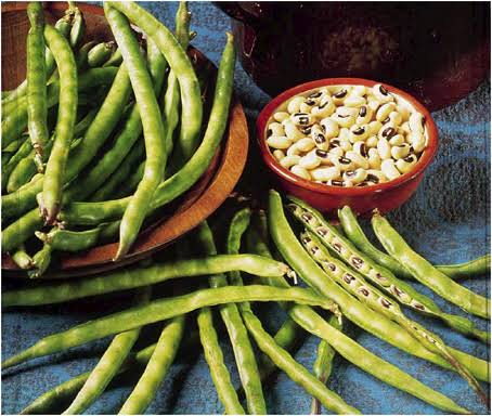 Farming and Care Guide of Beans