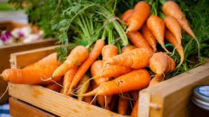 The Uses and Economic Benefits of Carrots