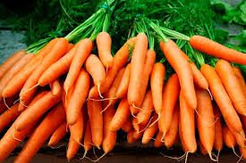 The Uses and Economic Benefits of Carrots 