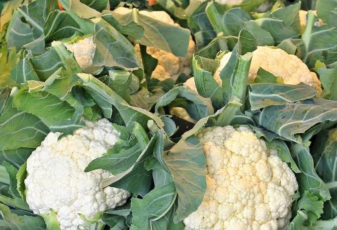 Growing and Care Guide of Cauliflower 