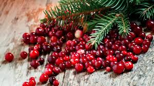 The Benefits and Uses of Cranberry Fruits