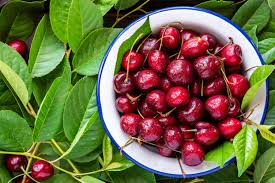 The Benefits and Uses of Cherry Fruits